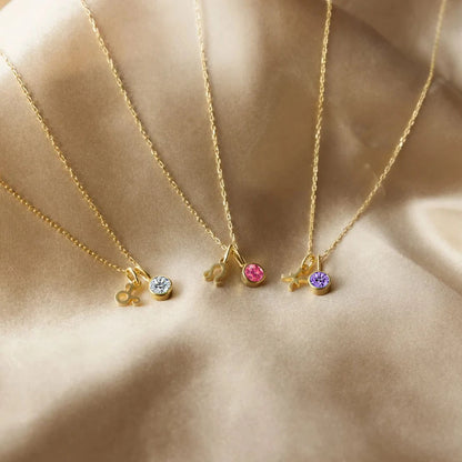 Zirconia Birthstone and Zodiac Stainless Steel Necklace